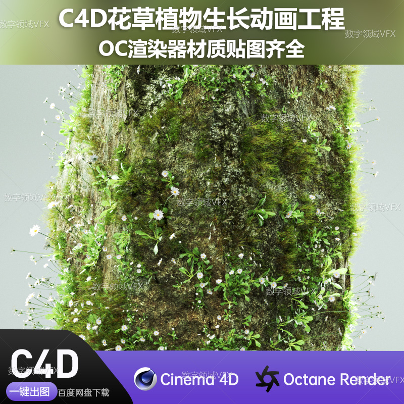 C4D058工程OC渲染-花草植物生长动画工程 -灯光贴图材质齐全