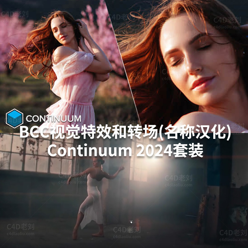 AE/PR插件-BCC视觉特效和转场插件套装Continuum 2024一键安装名称汉化版 aezy018